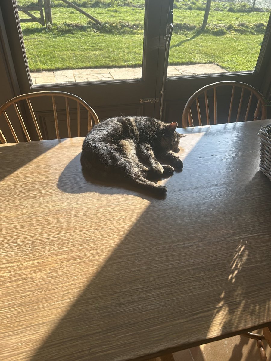 rupert bell tweet media