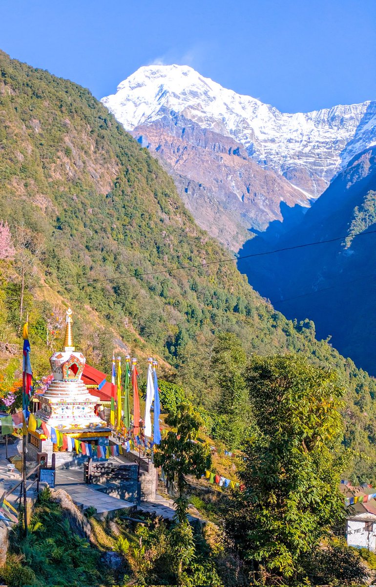 Show me your most beautiful hike!

Mine: Annapurna🇳🇵