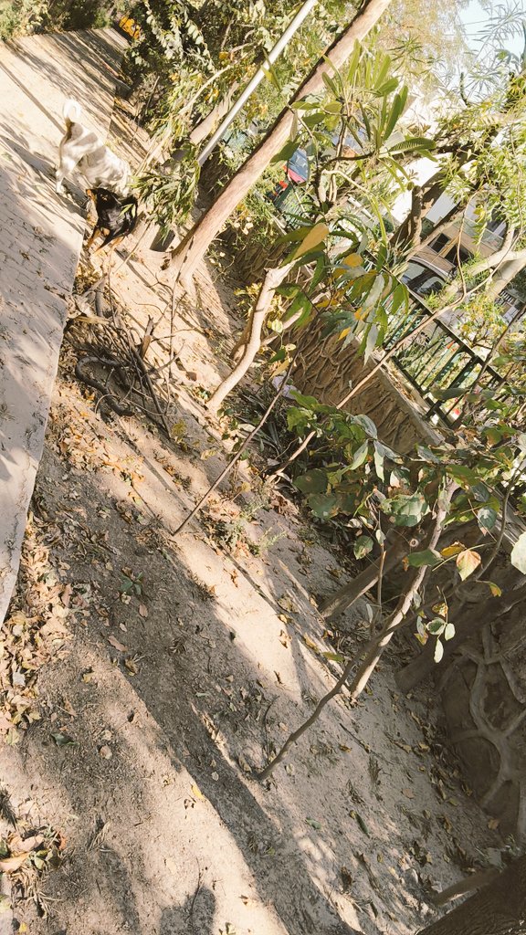 Swabhimani Aawaz🌐🇮🇳 tweet media