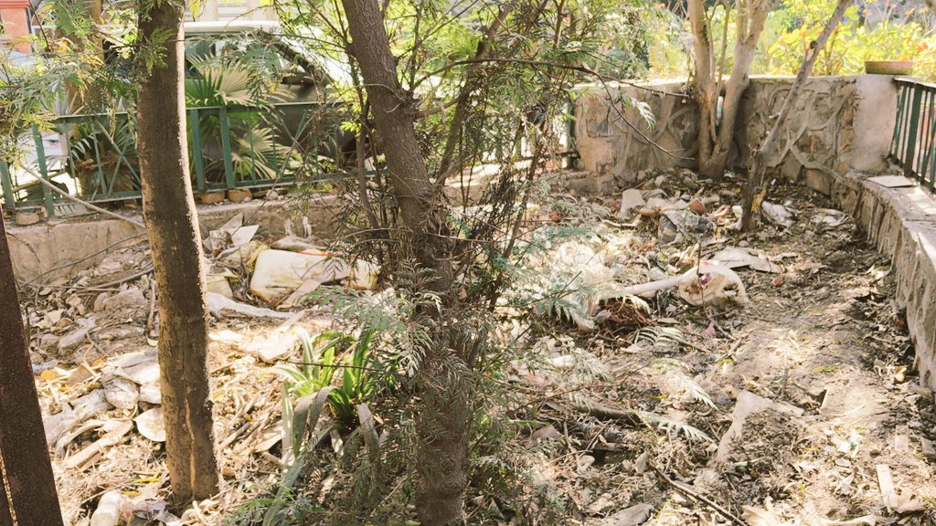 Swabhimani Aawaz🌐🇮🇳 tweet media