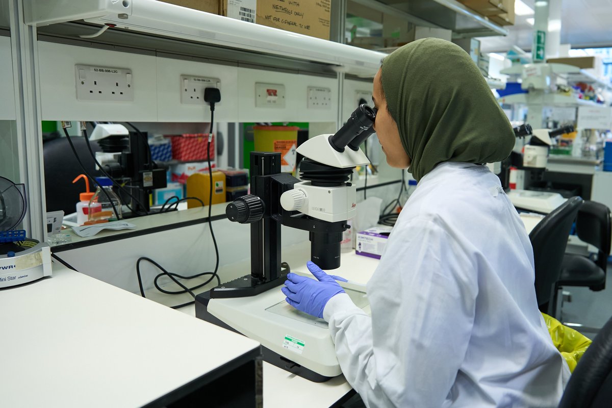 MND Research tweet media