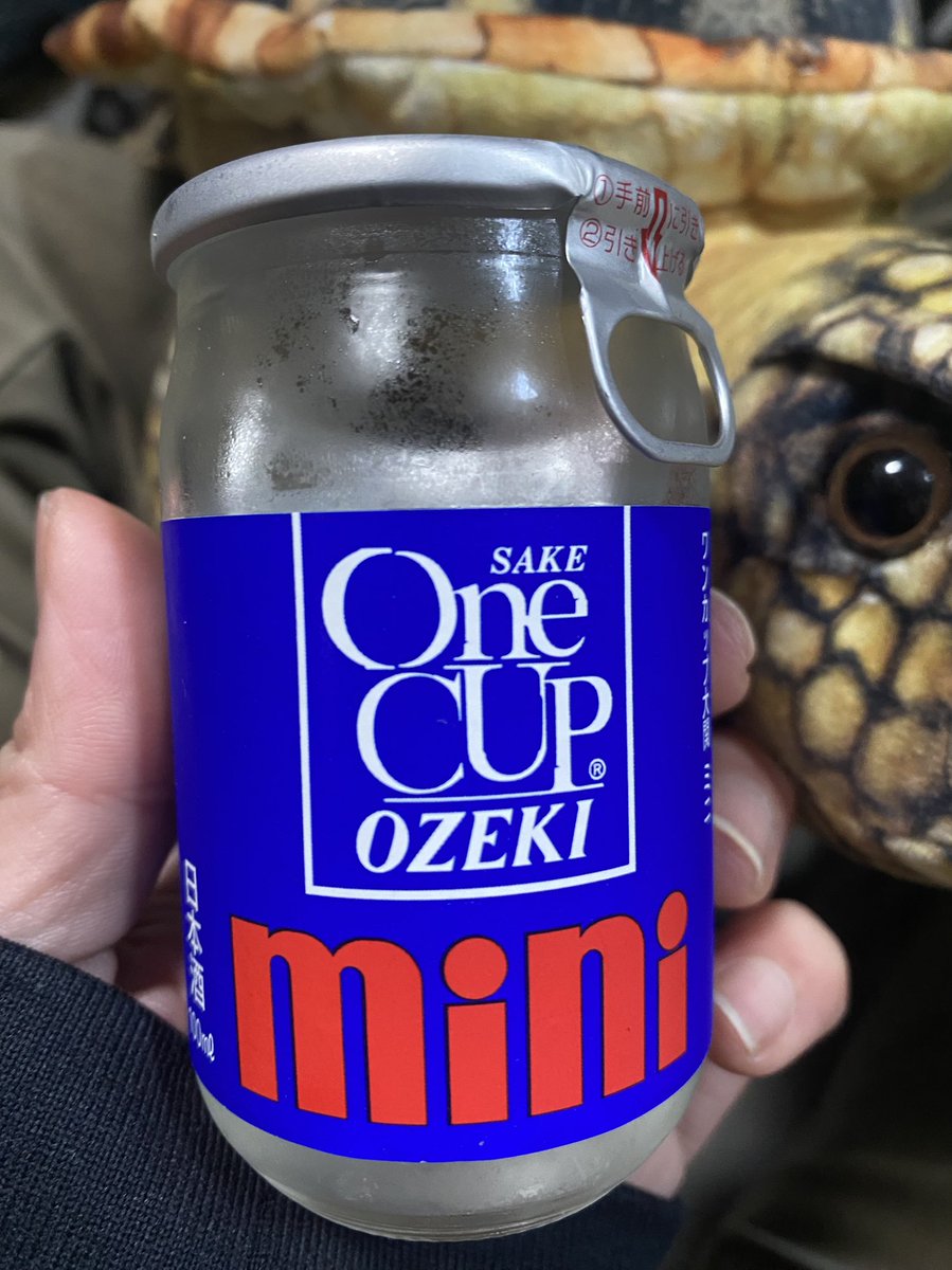 🐢まぁちゃん🐢 tweet media