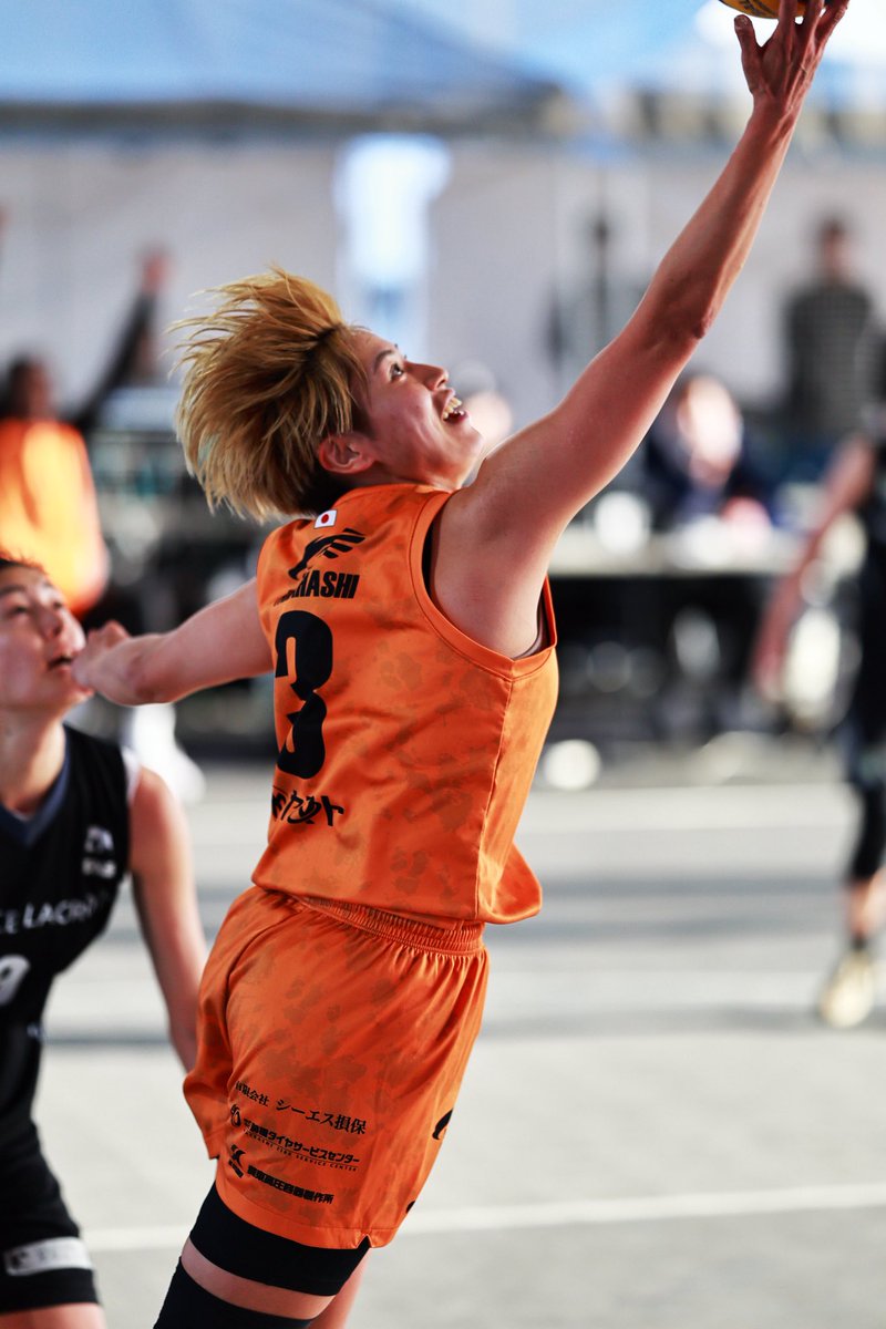 一匹猫 📸 tweet media