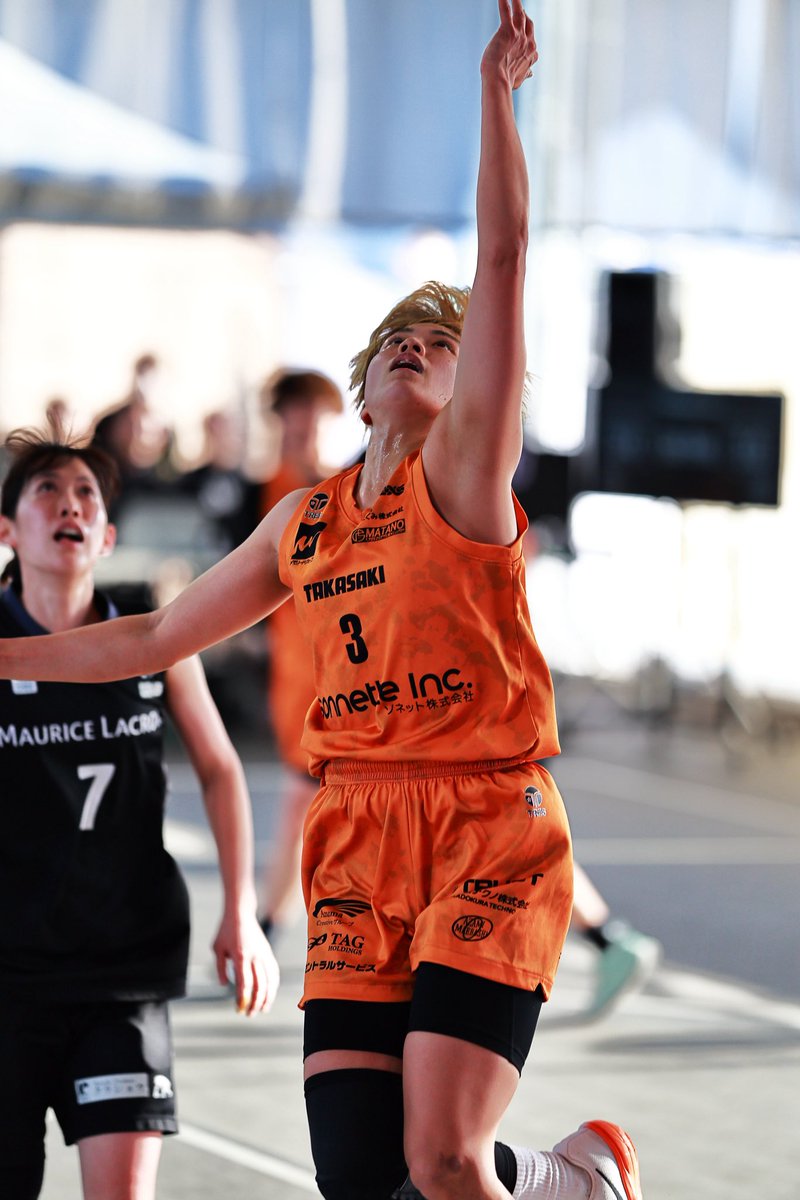 一匹猫 📸 tweet media