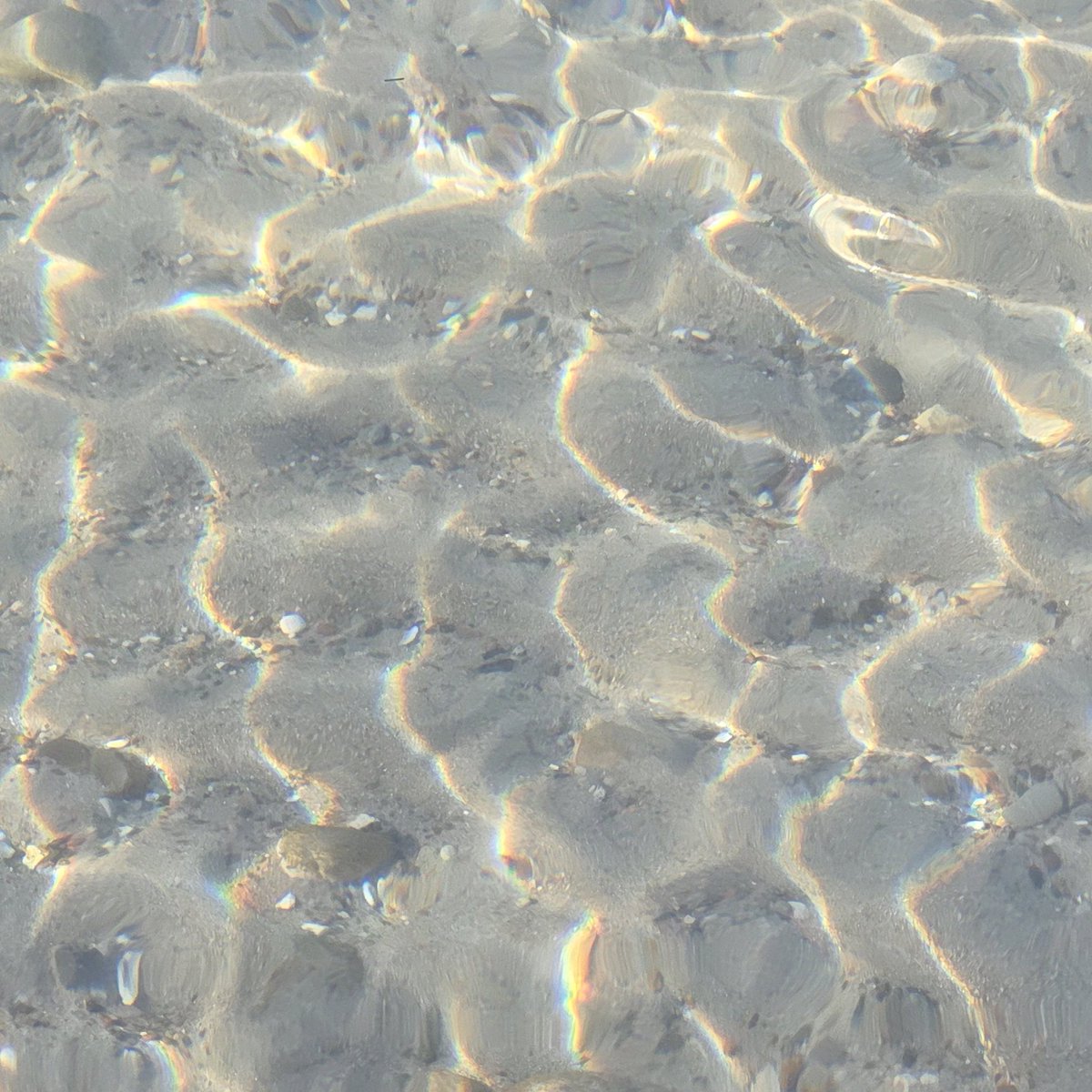 Leo_NOORPOL's tweet photo. 🌊🌈 https://t.co/eob3fESOl3