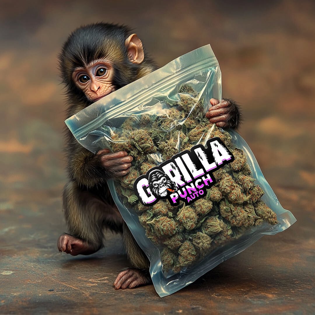 Fast Buds DE tweet media