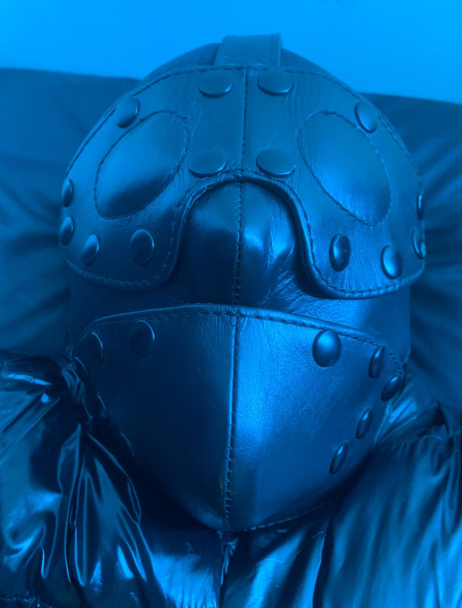 SBondage tweet media