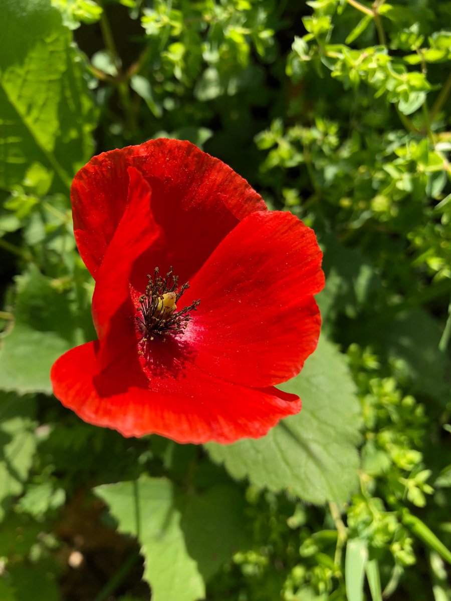 Marie Nassar tweet media