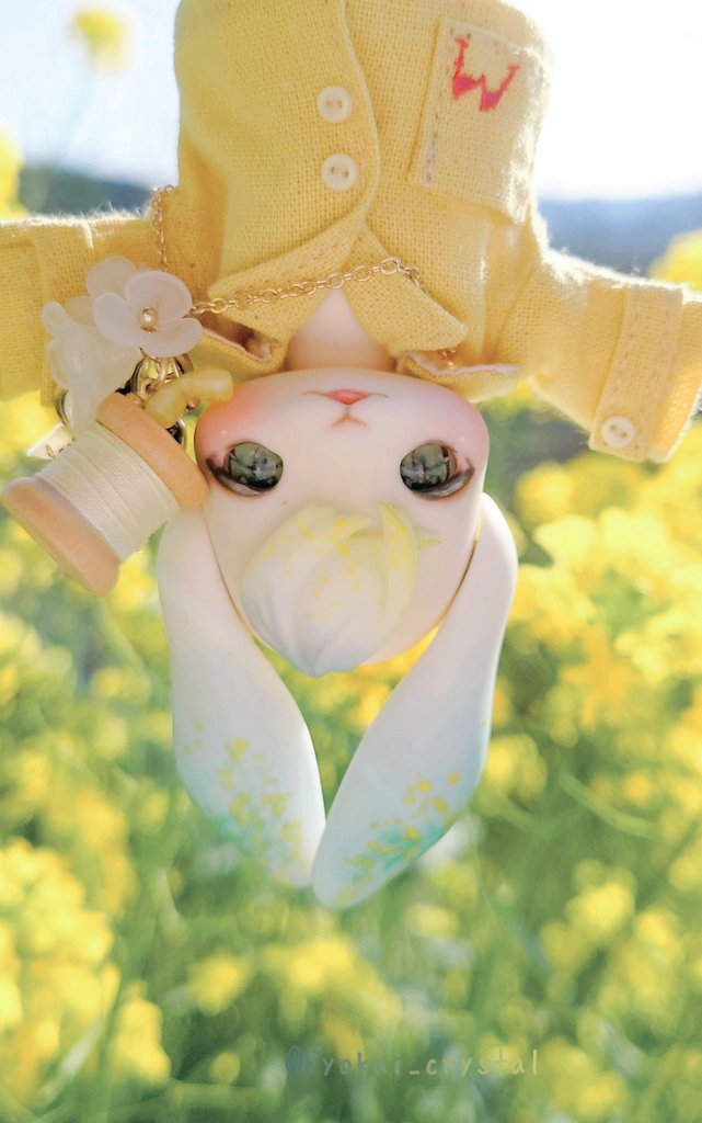 やっと晴れた！ミモザが咲きだした！ ミモザの花にミモザ色のお洋服に