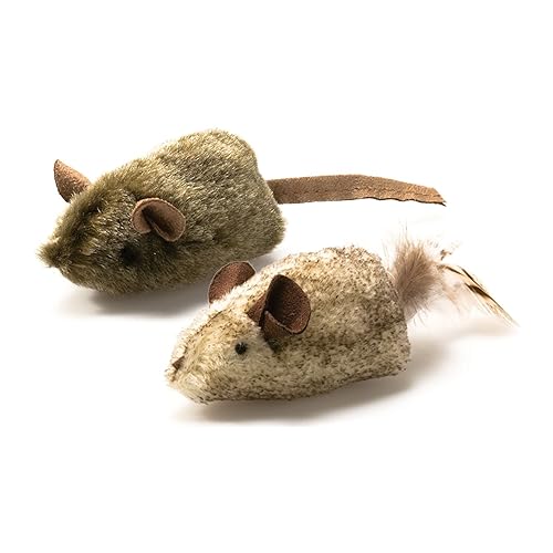 MeeriSuit's tweet photo. UM WTF?! I just received OurPet's Play-N-Squeak Twice the Mice Cat Toy, 2pc (Interactive Catnip Toy, Real Mouse Electronic Sound) - Twice the Mice (Pack of 2) from rammyroar via Throne. Thank you! https://t.co/TZiCTmTrqI #Wishlist #Throne https://t.co/mQTVxRyjie