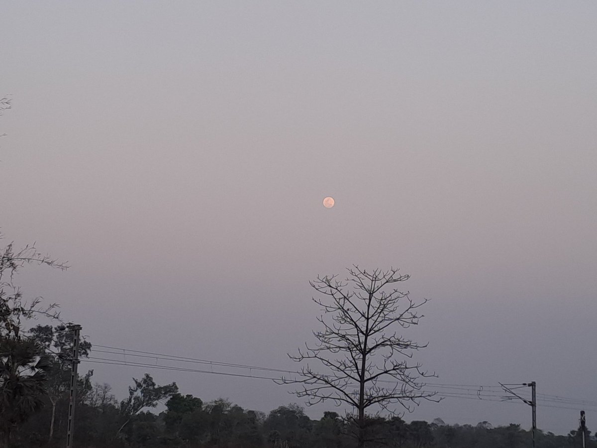 ସତ୍ୟ tweet media