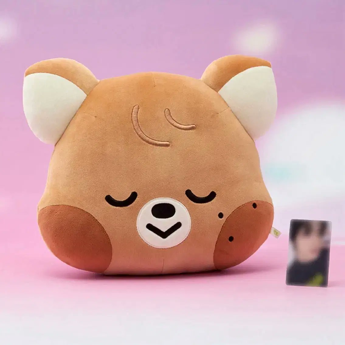 🐻🌻|| mt after dm tweet media