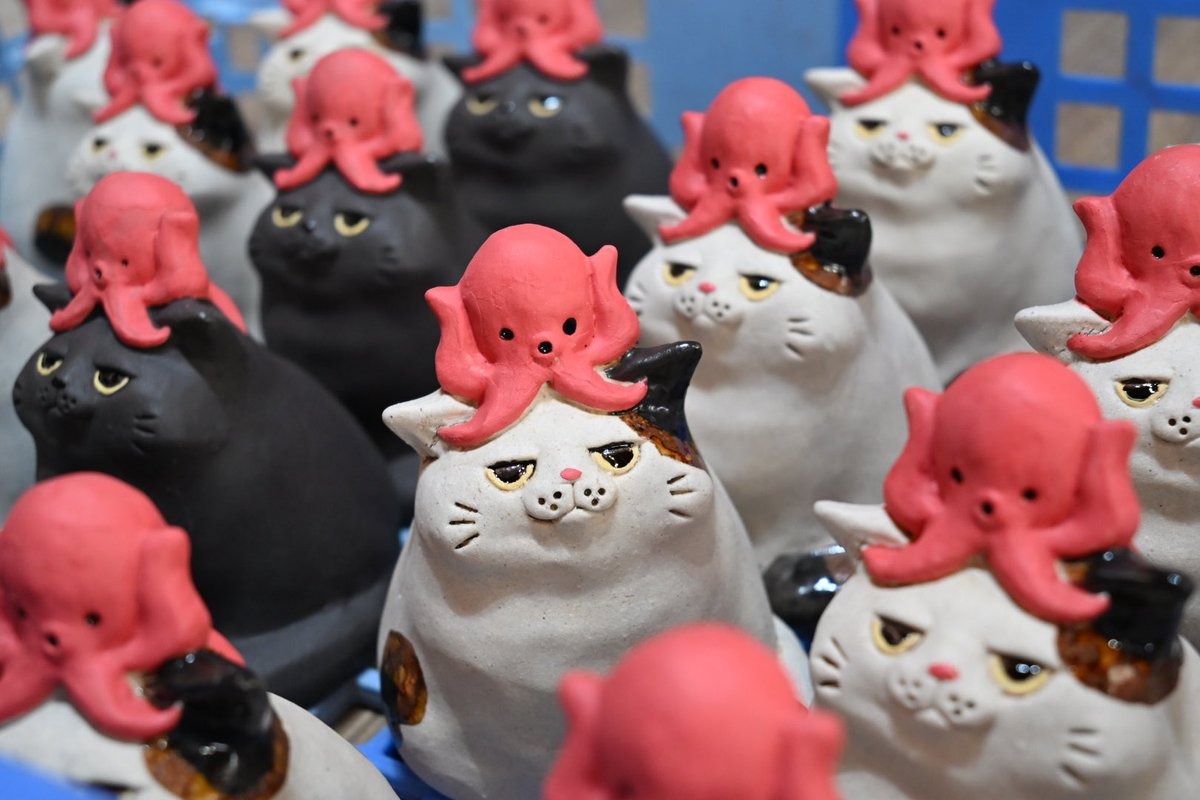 布施猫 (@c_a_takurofuse) / Posts / X