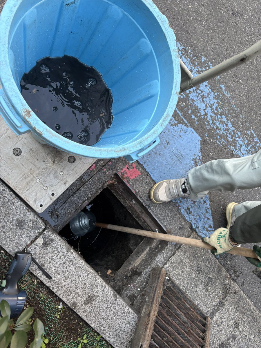 たかりな🦷🪥4/26名古屋Brushup🎸 tweet media