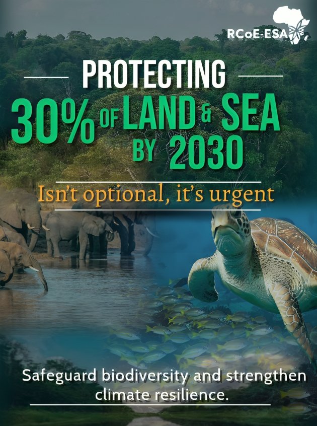 RCoE_ESA's tweet photo. Protecting 30% of land and sea by 2030 isn’t optional, it’s urgent. Under #Target3 (#30×30) of the Kunming–Montreal Global Biodiversity Framework, countries are scaling up protected and conserved areas to safeguard biodiversity and strengthen climate resilience. Across 24 countries in Eastern and Southern Africa, we work to ensure forests, biodiversity, and seascape ecosystems are sustainably managed by providing improved, regular, and up-to-date information for informed decision-making and long-term ecosystem services that support community well-being.

#Biodiversity #KMGBF #Conservation
^AS
