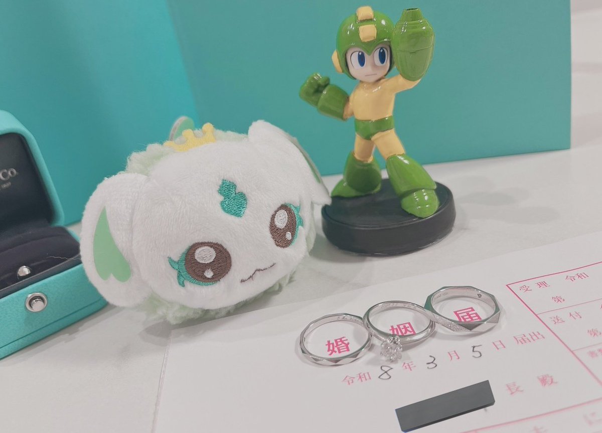 Repo/れぽ tweet media