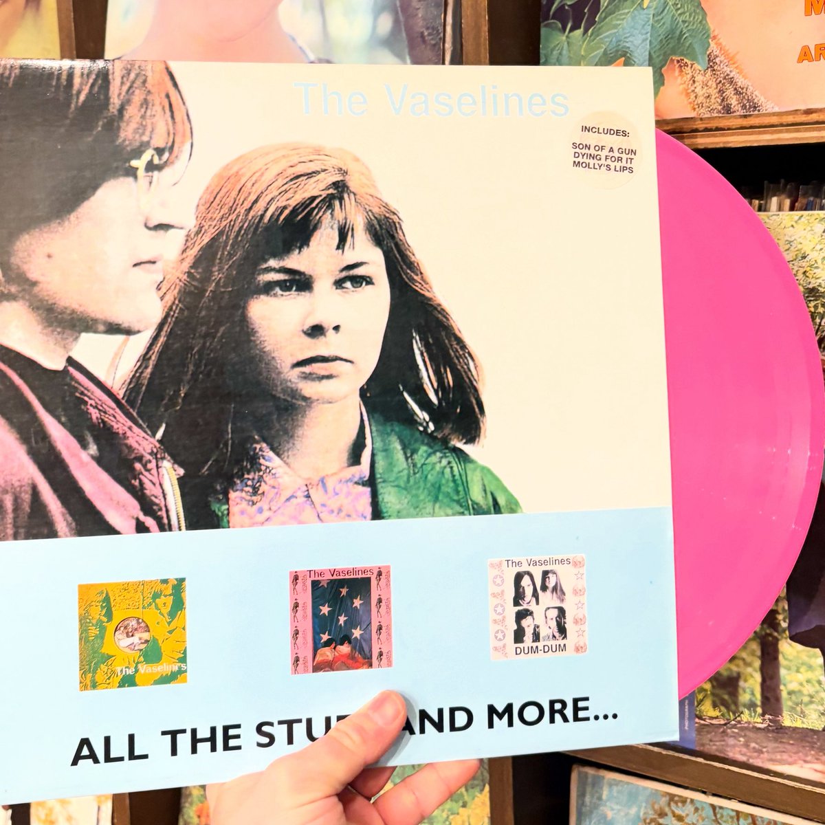 The Vaselines / ALL THE STUFF AND MORE LP入荷🎉 ニルヴァーナ