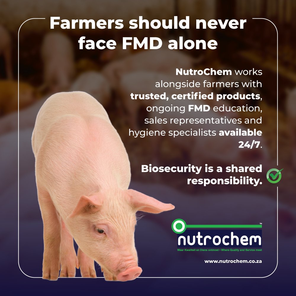 NutroChem stands alongside producers. 
✔ Trusted, certified disinfectant solutions 
✔ Ongoing FMD awareness and biosecurity education 
✔ Sales and technical representatives, 24/7 
Biosecurity is not an individual effort — it’s a shared responsibility across the value chain.