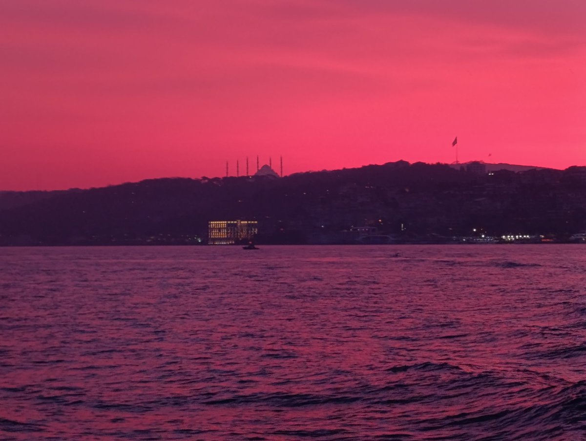 Fatih Dalgalı tweet media