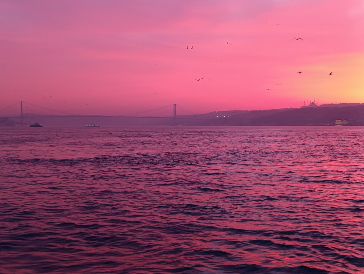 Fatih Dalgalı tweet media