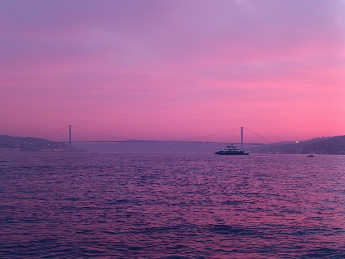 Fatih Dalgalı tweet media