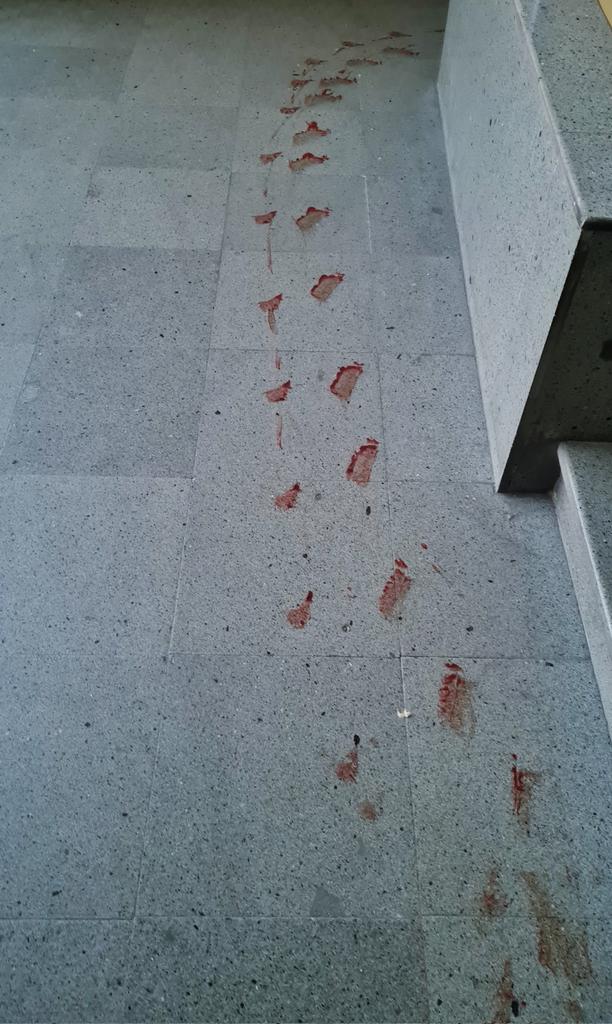 قاراباغ شیکسته‌سی tweet media