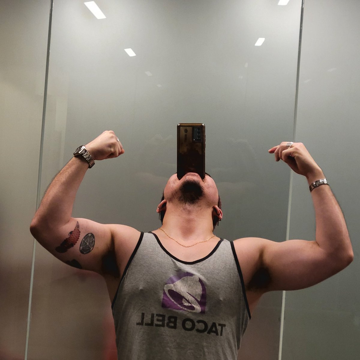 Chestnutbulk tweet media