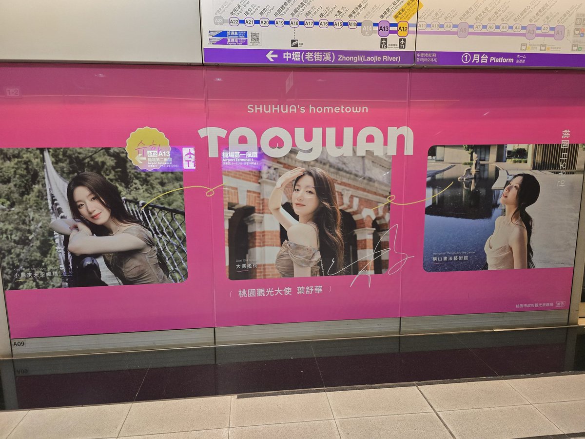 SHUHUA IS EVERYWHERE