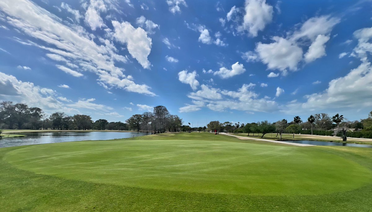 john reilly tweet media