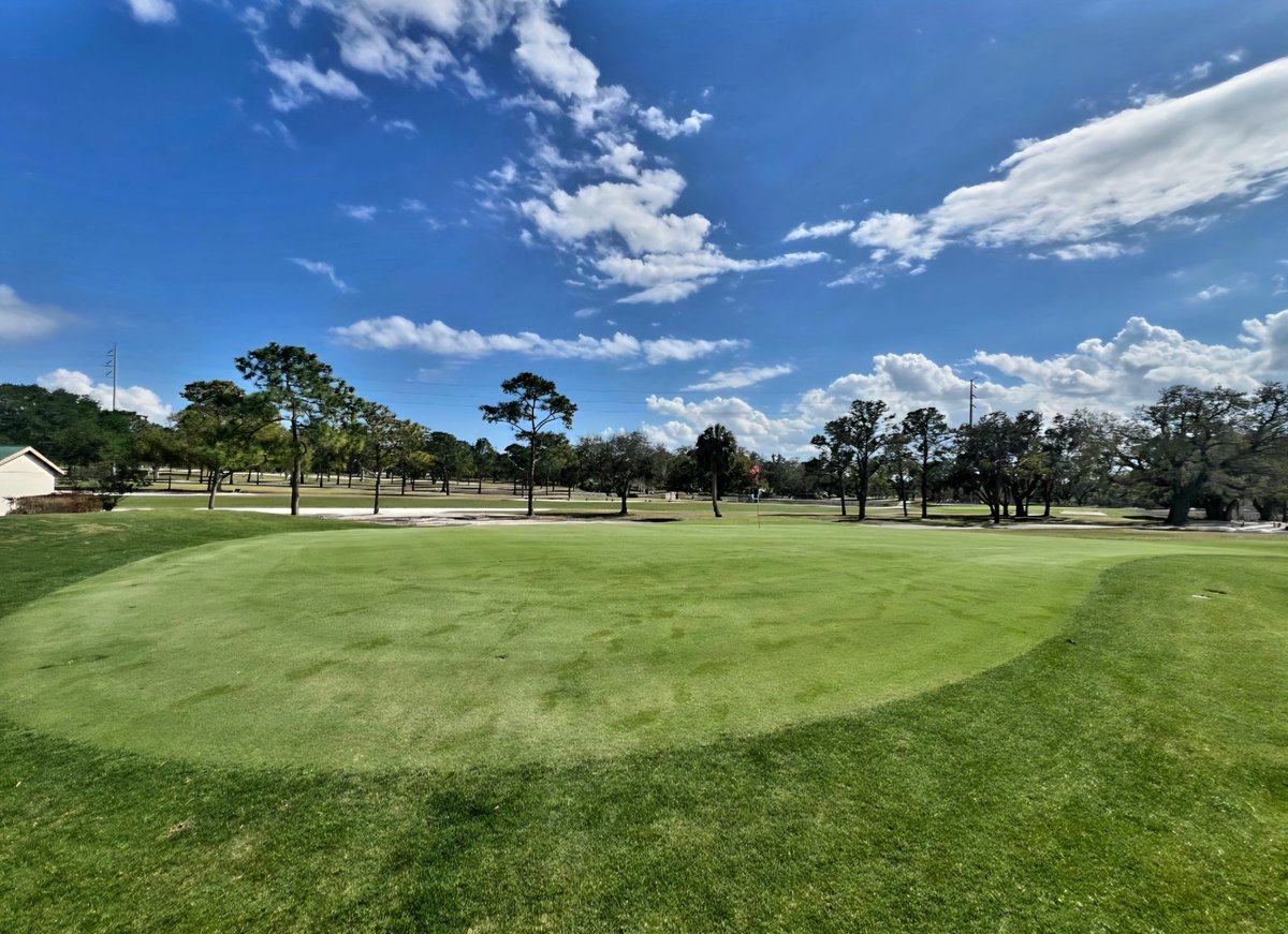 john reilly tweet media