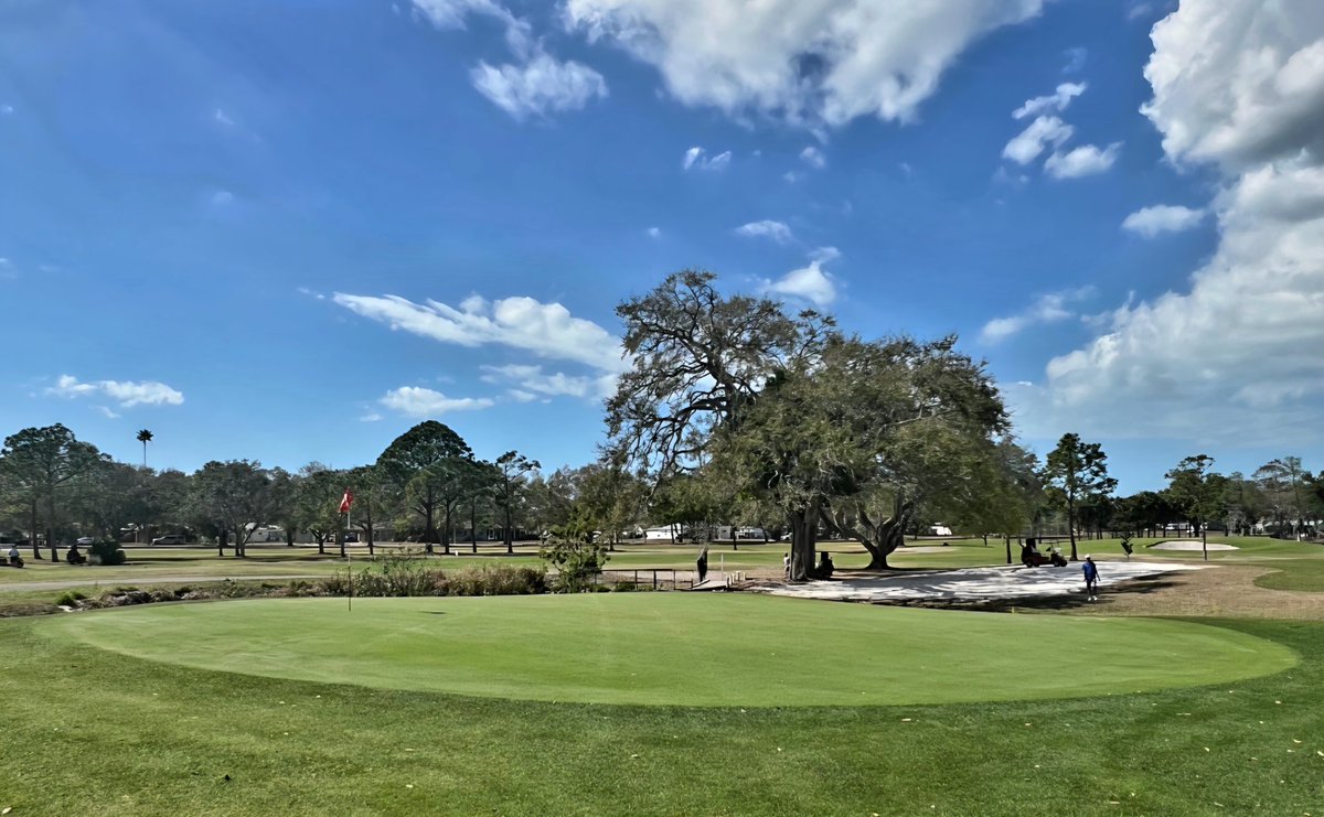 john reilly tweet media