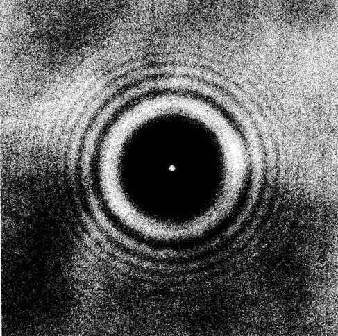 DYJ Science tweet media
