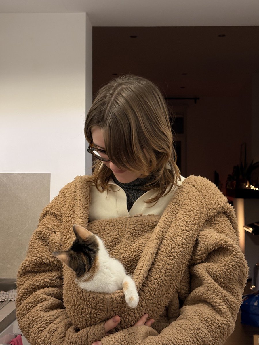 rynsrchive's tweet photo. "cats aren't affectionate" when this is my cat on a daily basis https://t.co/EIdoTrEgl4