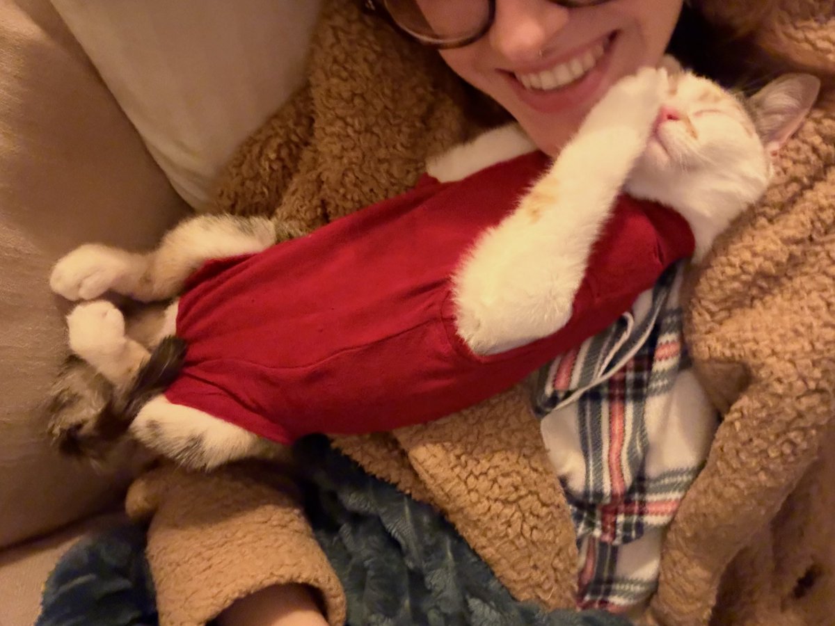 rynsrchive's tweet photo. "cats aren't affectionate" when this is my cat on a daily basis https://t.co/EIdoTrEgl4