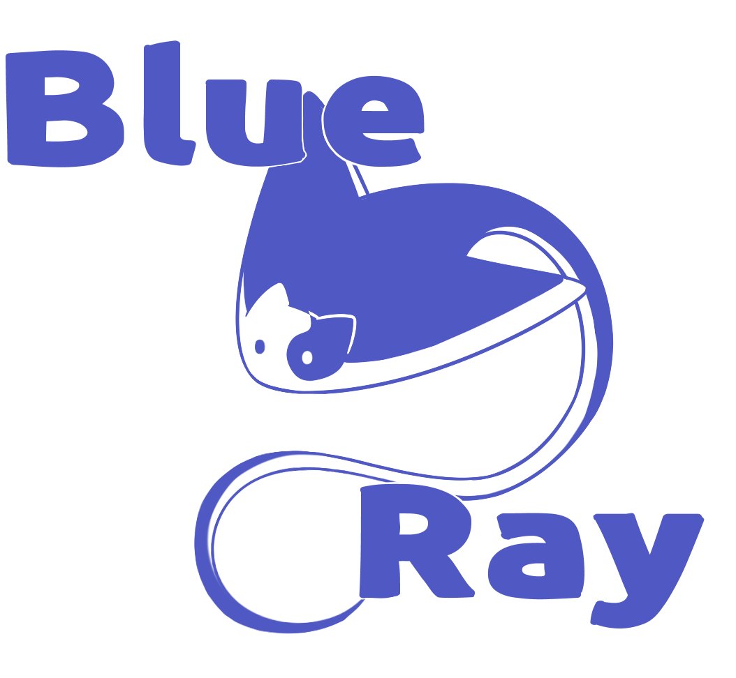 Blue Ray/블루 레이 tweet media