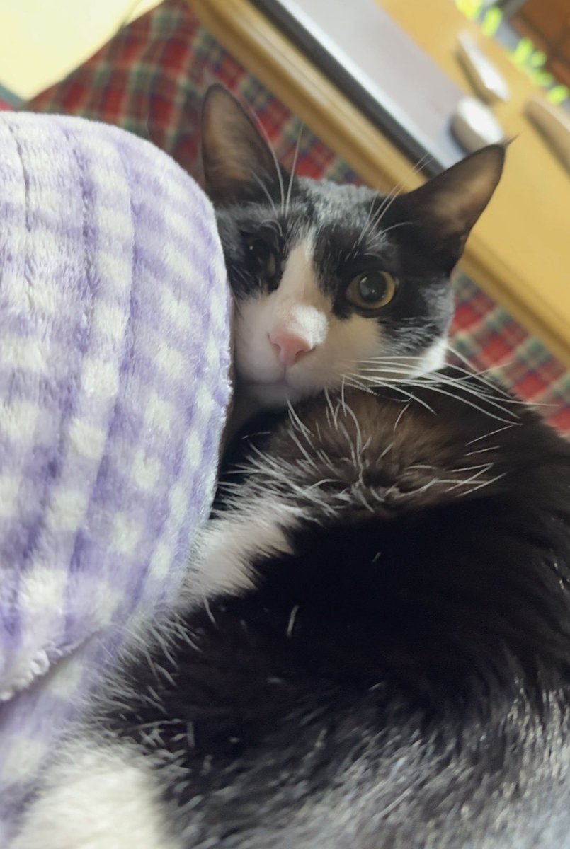 일 진짜 너무 힘들다