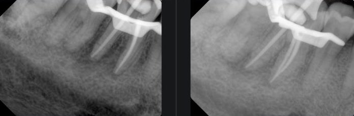 𝓈𝓱𝑜𝑟𝑜𝓊𝑞 ᥫ᭡ tweet media