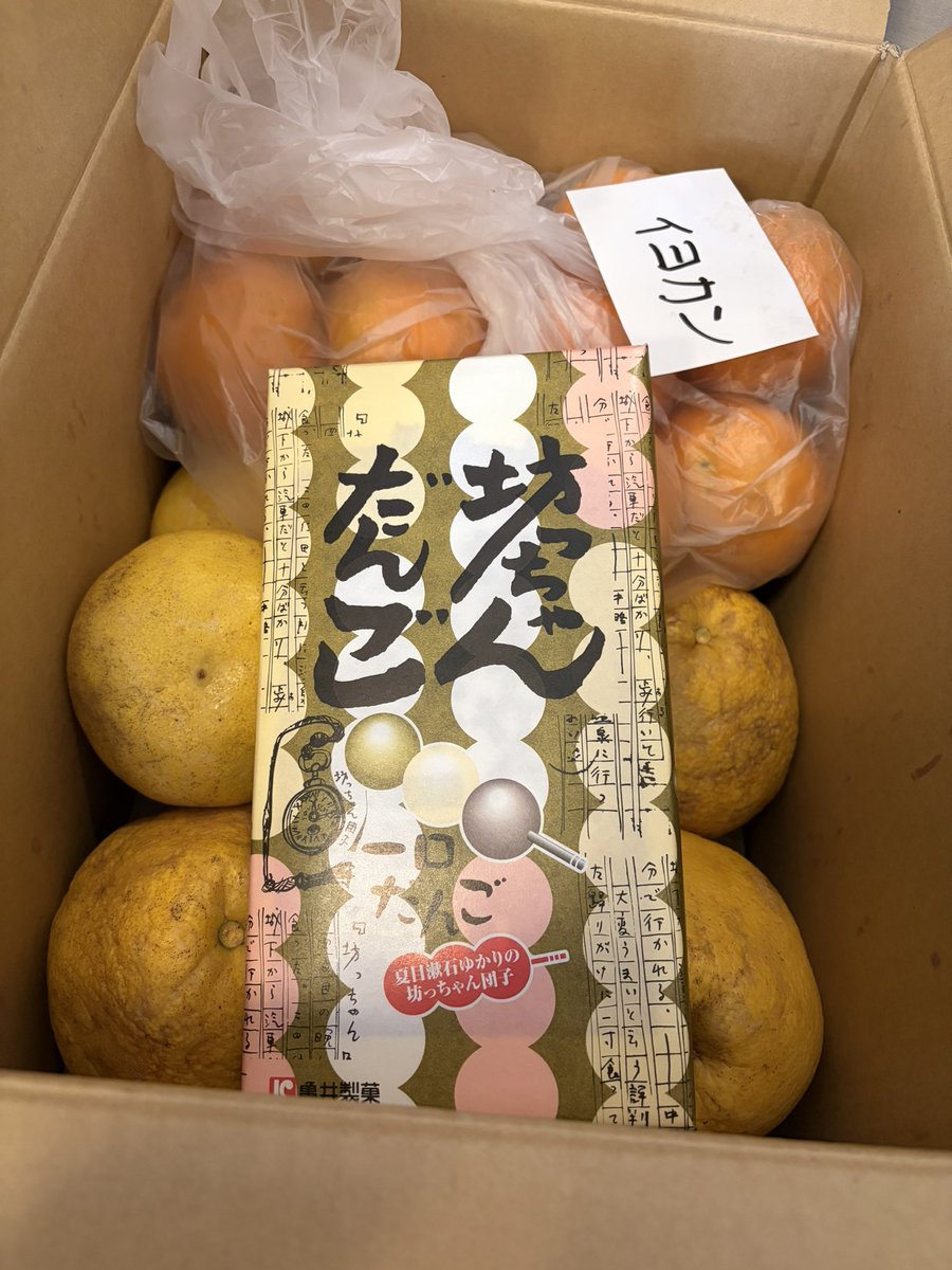 ちくわ@ちくわ輪業 (@chikuwa_wheel) / Posts / X