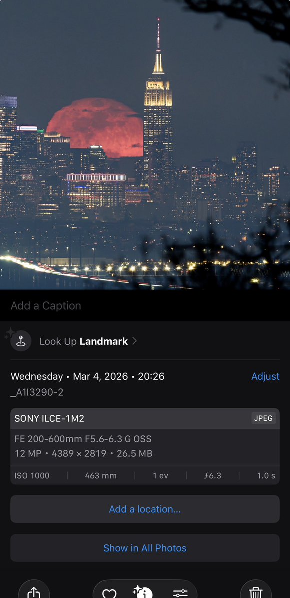 Dan Martland tweet media