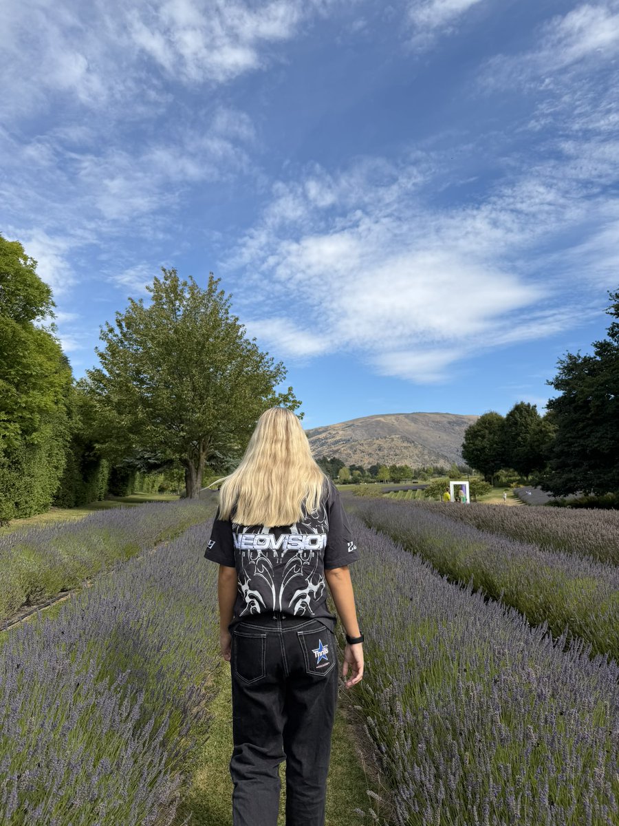 JustDash tweet media