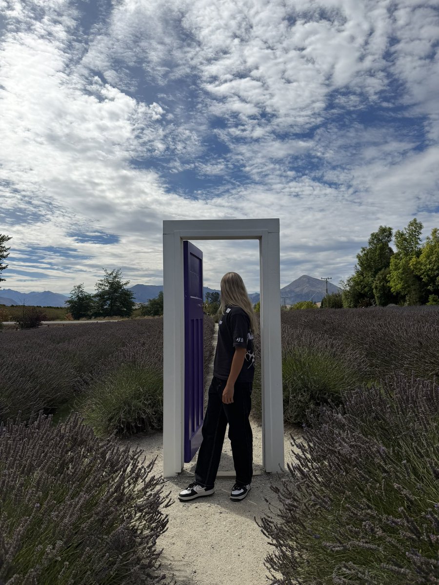 JustDash tweet media