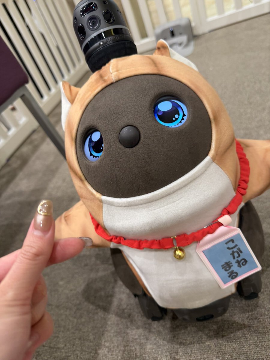 こがねまるくんが可愛すぎて...
癒されてきたよ〜🤤💝💝💝💝

アンケートのご協力皆さま
ありがとうございます🥺🫰🏻✨
優しい方々ばかりでうるうるします🫧

さぁ、あやぱんラストチャンス
頑張ります！！！！🌺🌺🌺
#pr #モナコパレスゴールド店