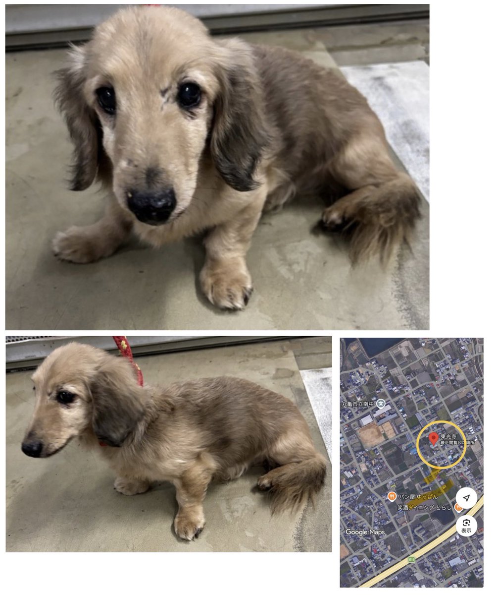 No more culling! tweet media