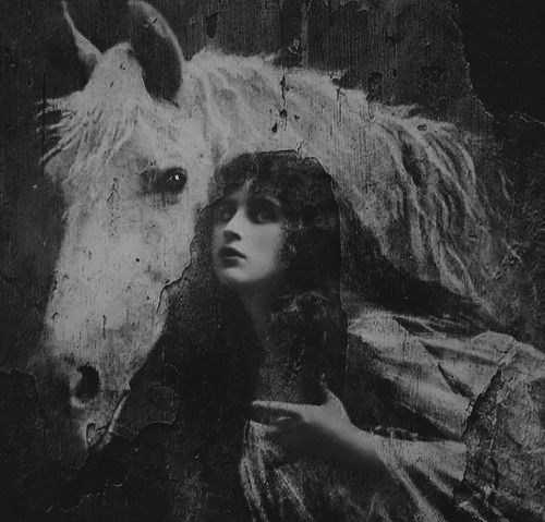 jessaricc's tweet photo. “Be yourself, everyone else is taken."
     — Oscar Wilde https://t.co/BZNLnvKJ7K