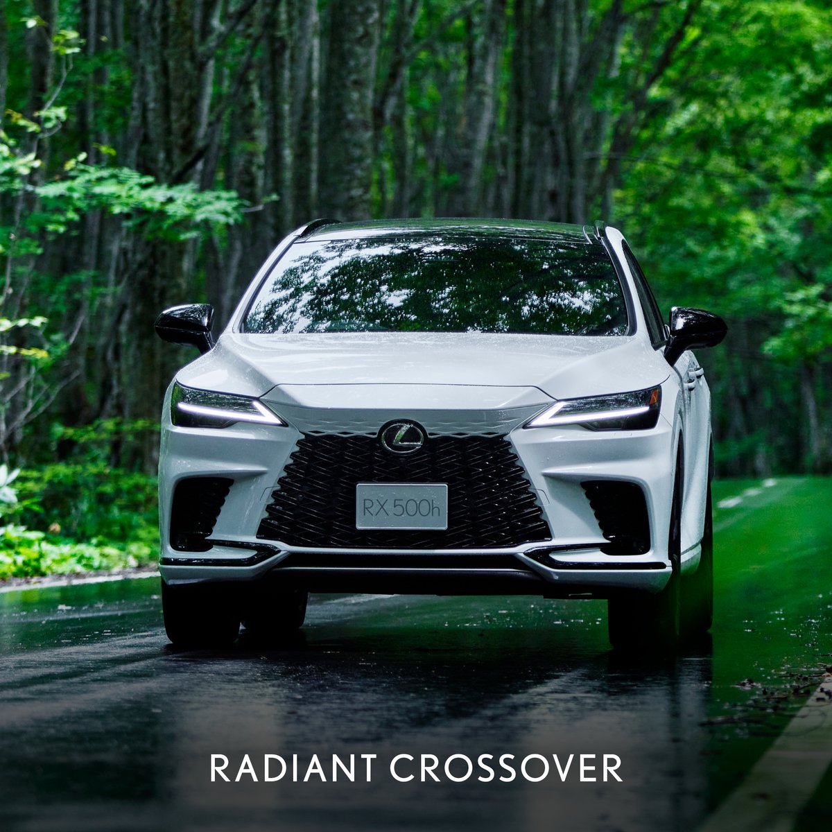 Lexus South Africa tweet media