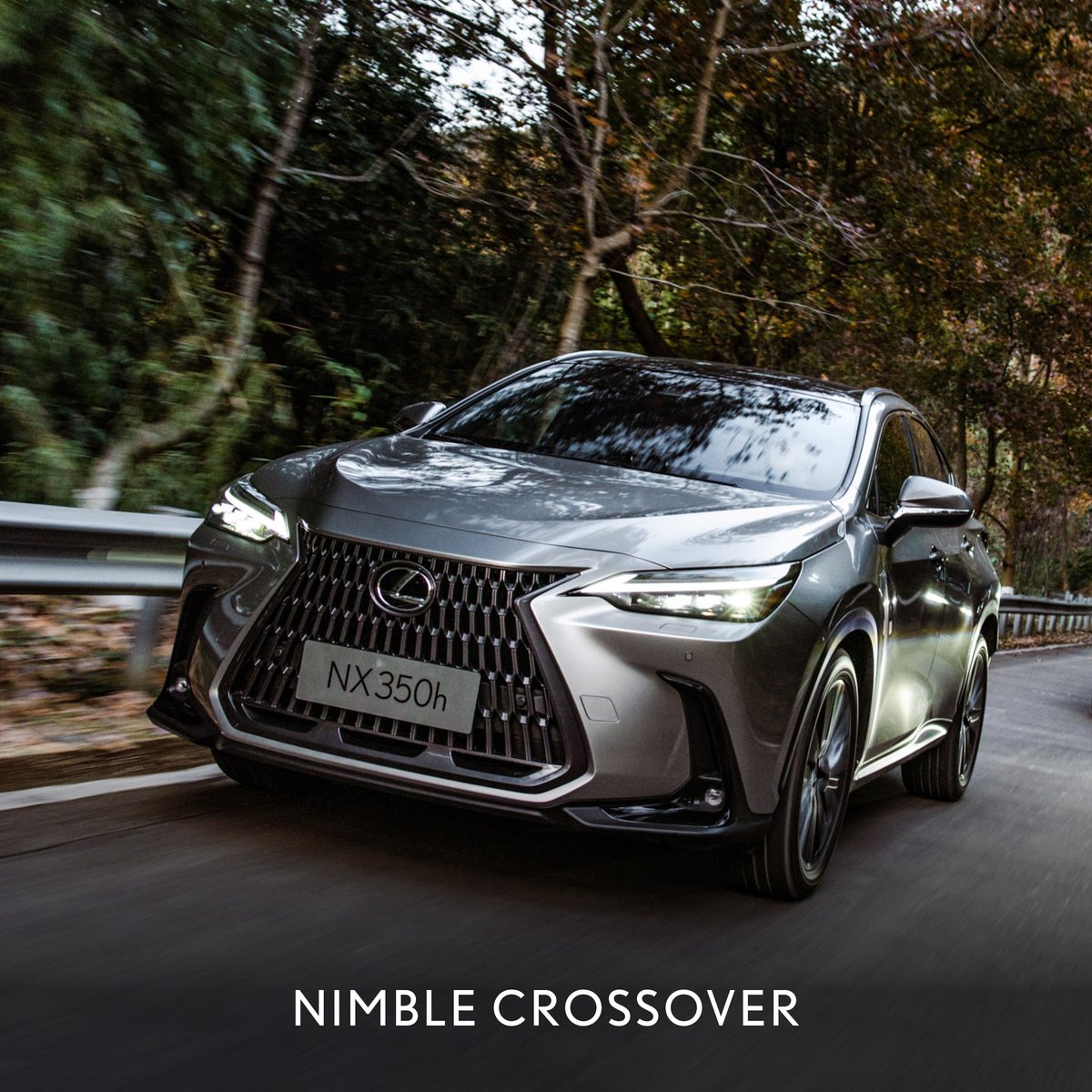 Lexus South Africa tweet media