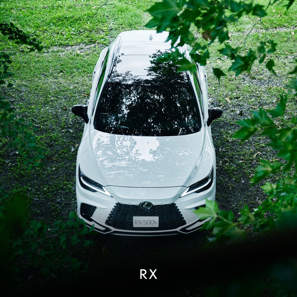 Lexus South Africa tweet media