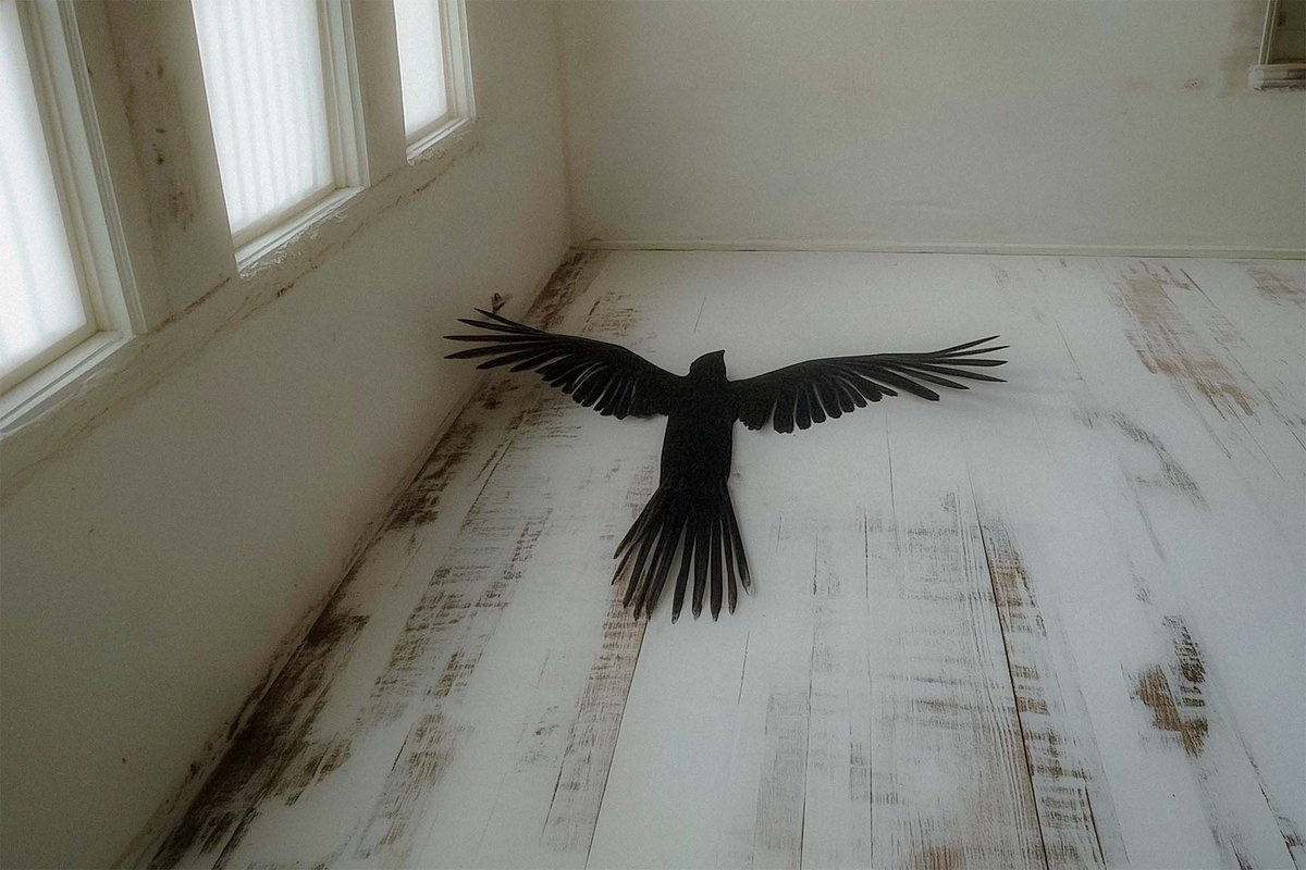 untitled folder (@untitledfold_er) on Twitter photo 