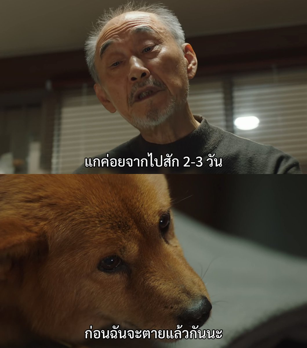 จ. จ้าว 🐾 tweet media