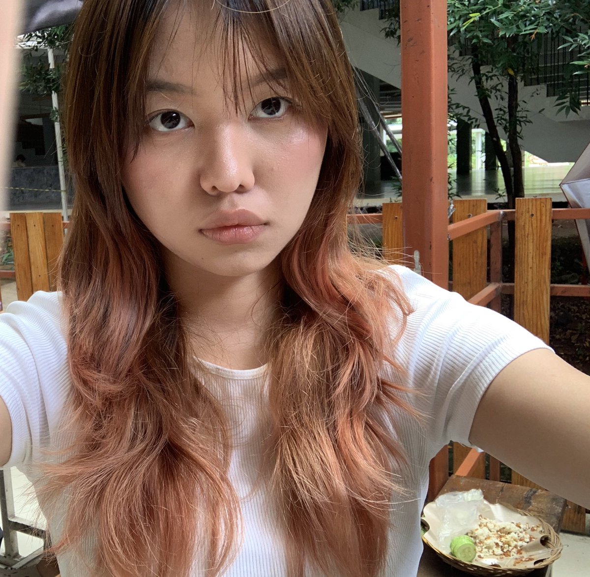 annelise tweet media